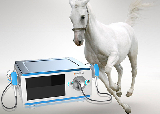 کاهش درد دستگاه شنوایی کم صدا برای دستگاه پزشکی اسب