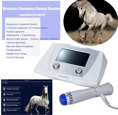 دامپزشکی Radial Pulse Wave ESWT Equine Shockwave Machine Therapy Device for Horse