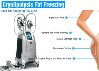 4 دست چربی انجماد ماشین Cryolipolysis لاغری برای کاهش وزن / کاهش سلولیت