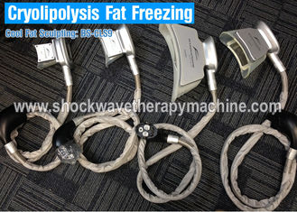 Cryolipolysis چربی Freeze دستگاه لاغری با 4 دسته برای سالن زیبایی و یا استفاده از درمانگاه