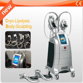 ایمنی Coolsculpting دستگاه زیبایی لاغری برای کاهش چربی بدن / Contouring بدن