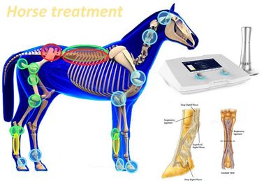 فشار سنج فشار بالا 1-22Hz Shockwave ماشین برای درمان اسب
