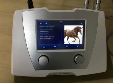 تراکم اسب سوار بر قدرت خارج از دستگاه اسباب کشی موج درمانی برای اسب