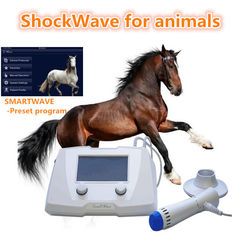 تجهیزات دامپزشکی تجهیزات اسباب بازی دامپزشکی برای سگ / اسب سفید رنگ