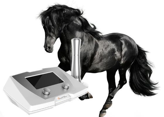 دستگاه درمان شوک اسب تاندون / دستگاه درمان شوک اسب