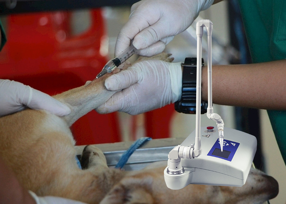 ابزار پزشکی لیزر دامپزشکی CO2 دامپزشکی ابزار پزشکی برای سگ ها / بیمارستان حیوانات