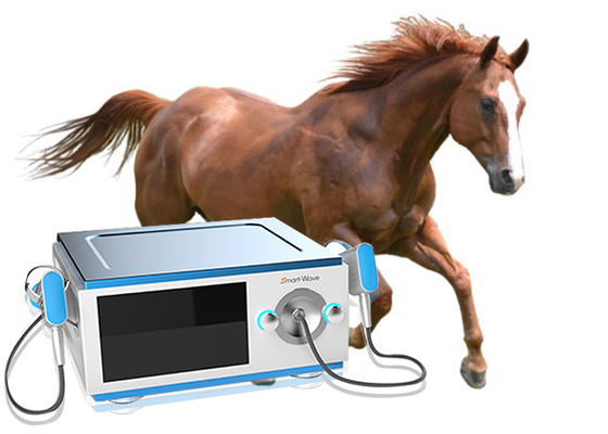تمركز كننده اسب تراكم تراكم تراكم تراكم اسب براي درمان كمردرد در اسب
