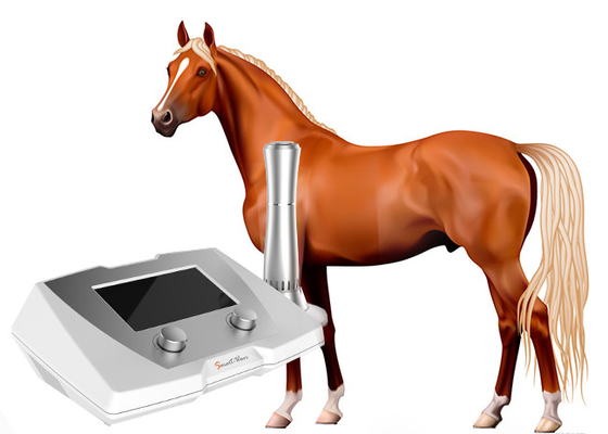 تجهیزات فیزیوتراپی پزشکی اسب آسیب دیدگی تاندون