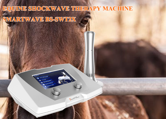 کلینیک Hockwave تراپی ماشین تراپی 1 - 22 هرتز فرکانس بیماری لیگامنت تعلیق
