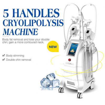 5 دستگیره دستگاه انجماد چربی Cryolipolysis دستگاه مجسمه سازی بدن برای کاهش چربی
