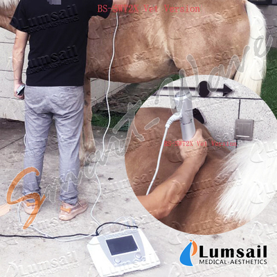 رادیال ESWT اسب شوک تراپی ماشین درمانی