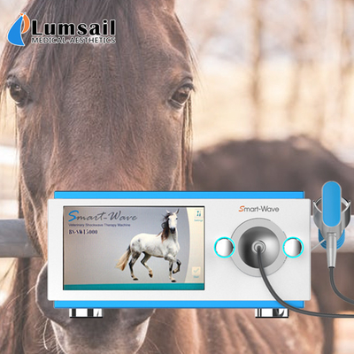 دستگاه تسکین دهنده درد اسب بخار کمکی قدرت انتقال بالا متمرکز شده است