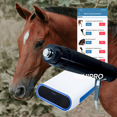 دستگاه شوک موج اسب اسب دامپزشکی قابل حمل برای آسیب های تعلیقی